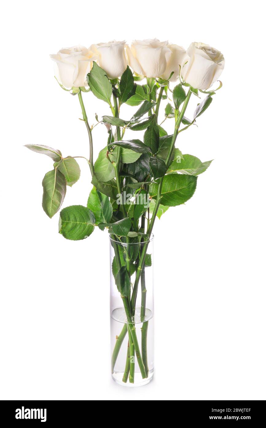 Beautiful roses in vase on white background Stock Photo - Alamy