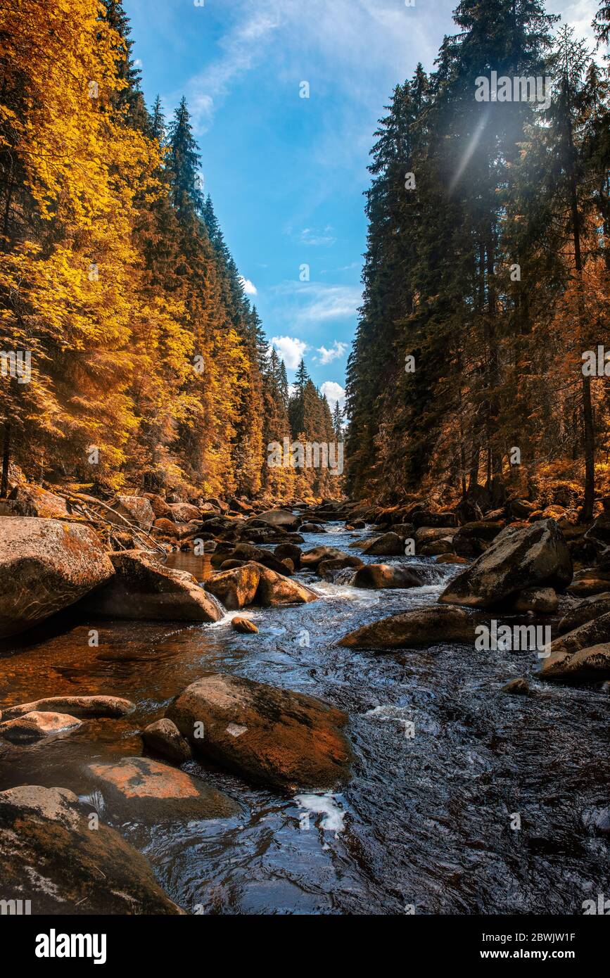 Sumava Mountains High Resolution Stock Photography and Images - Alamy
