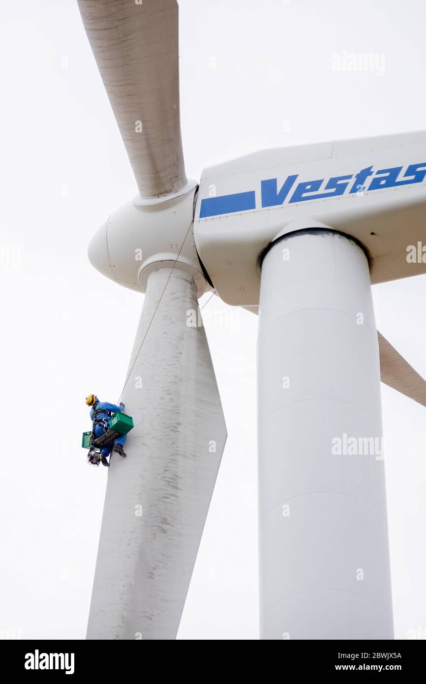 27 May 2020, Brandenburg, Wittstock/Dosse: A service technician inspects  the rotor blades of a wind turbine near Wittstock/Dosse for damages. Photo:  Christoph Soeder/dpa-Zentralbild/ZB Stock Photo - Alamy