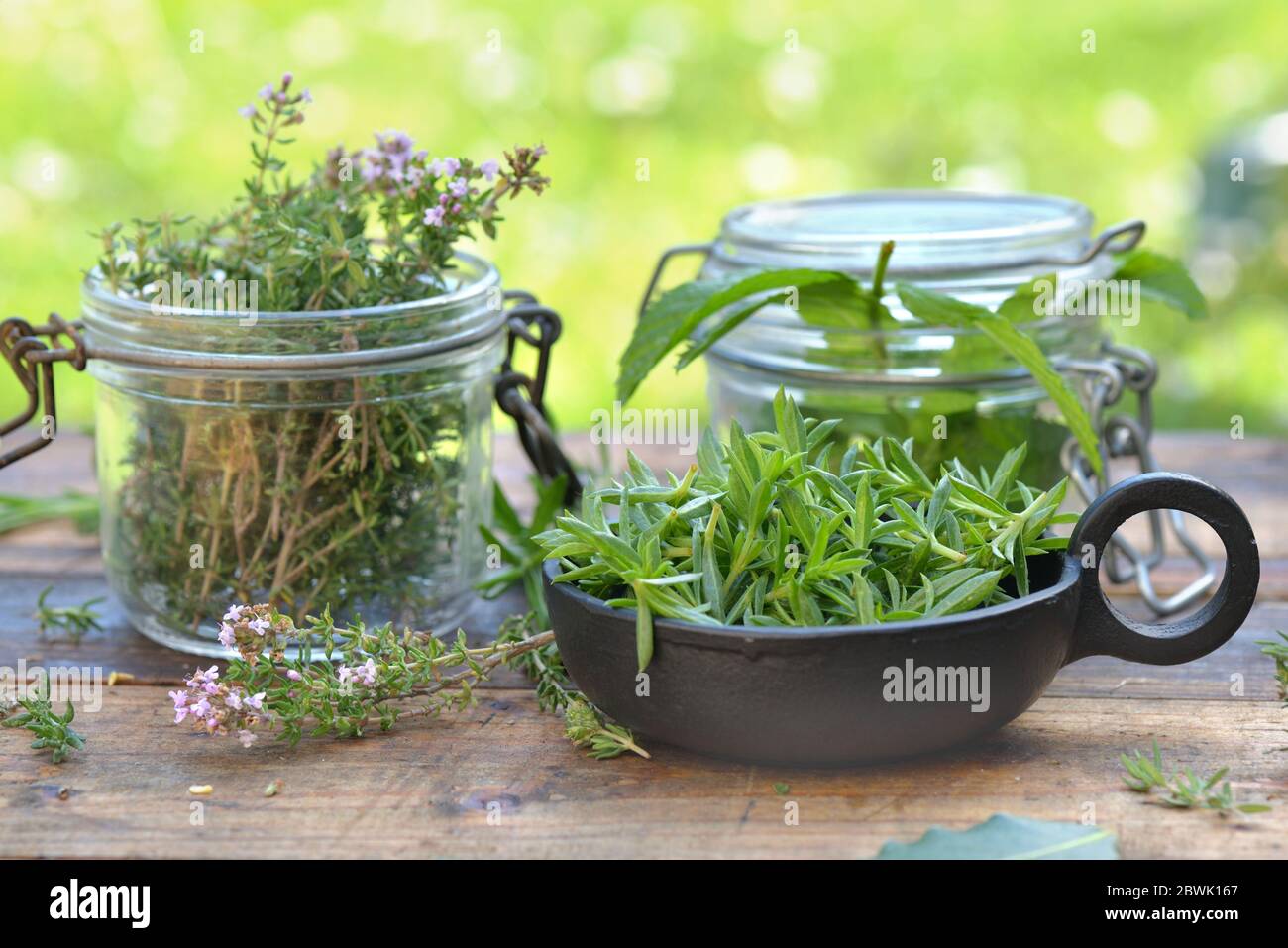 aromatic herbs  leaf  in jar  on a wooden  table in a garden Stock Photo