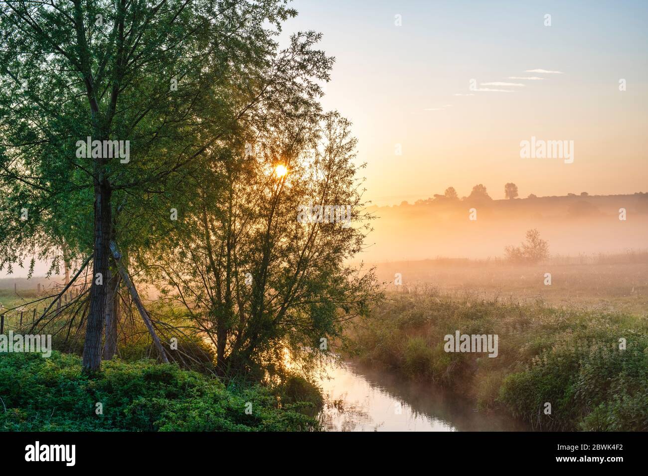 Misty sunrise along the river cherwell in spring. Somerton, Oxfordshire, England Stock Photo