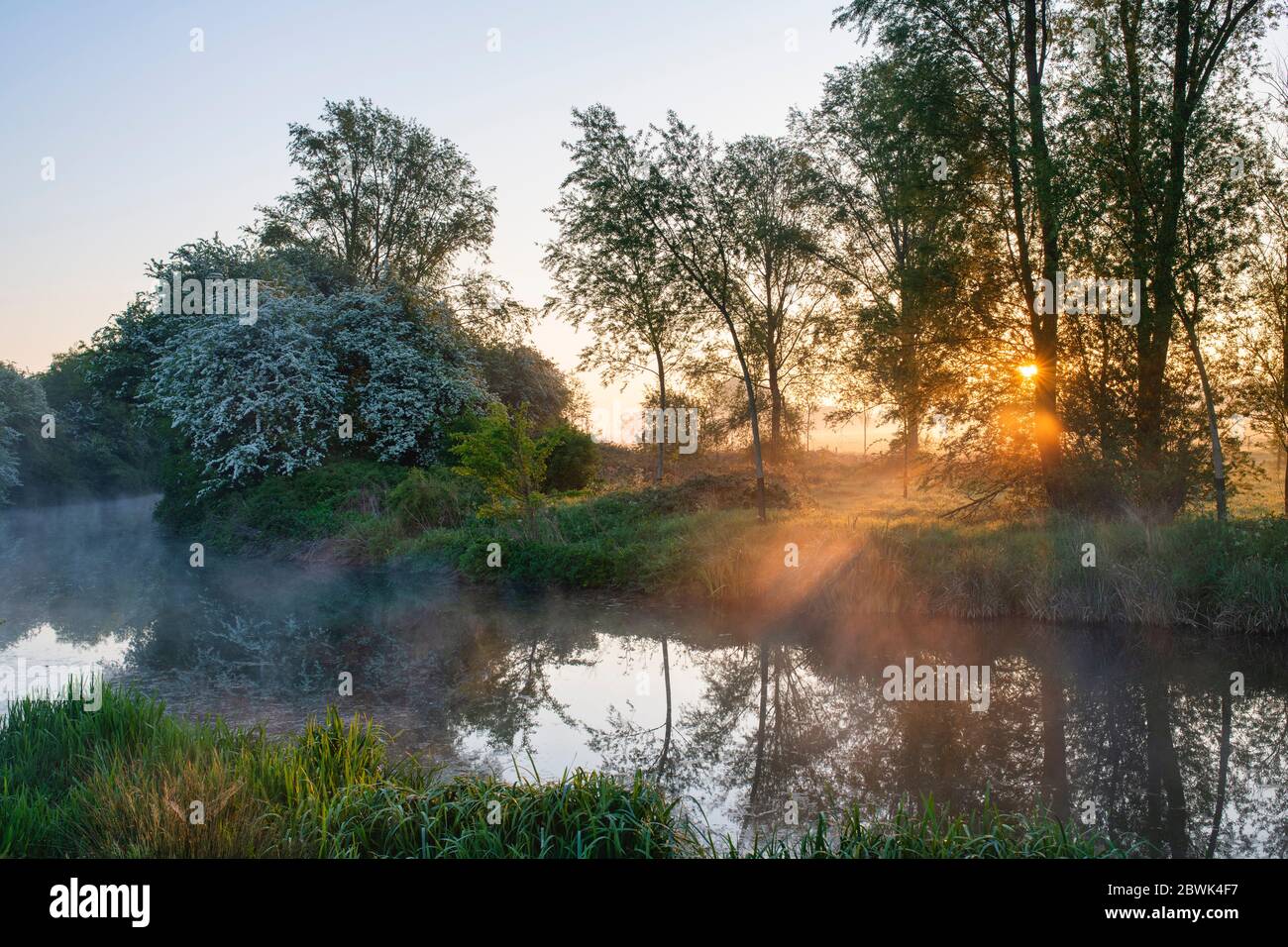 Misty sunrise along the oxford canal in spring. Somerton, Oxfordshire, England Stock Photo