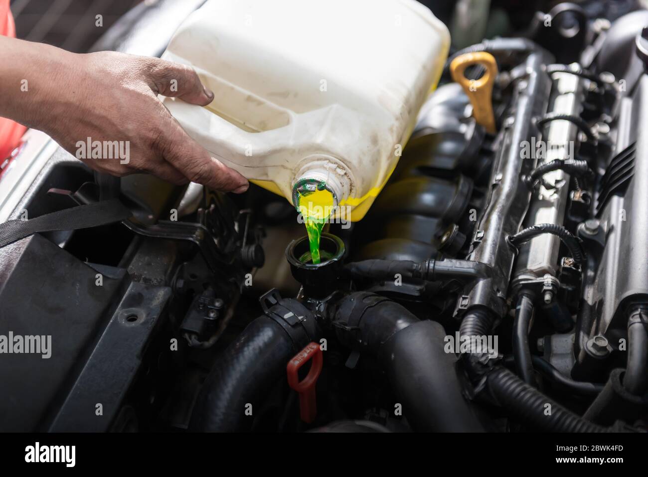 Car mechanic pour the water coolant to the car radiator on the garage