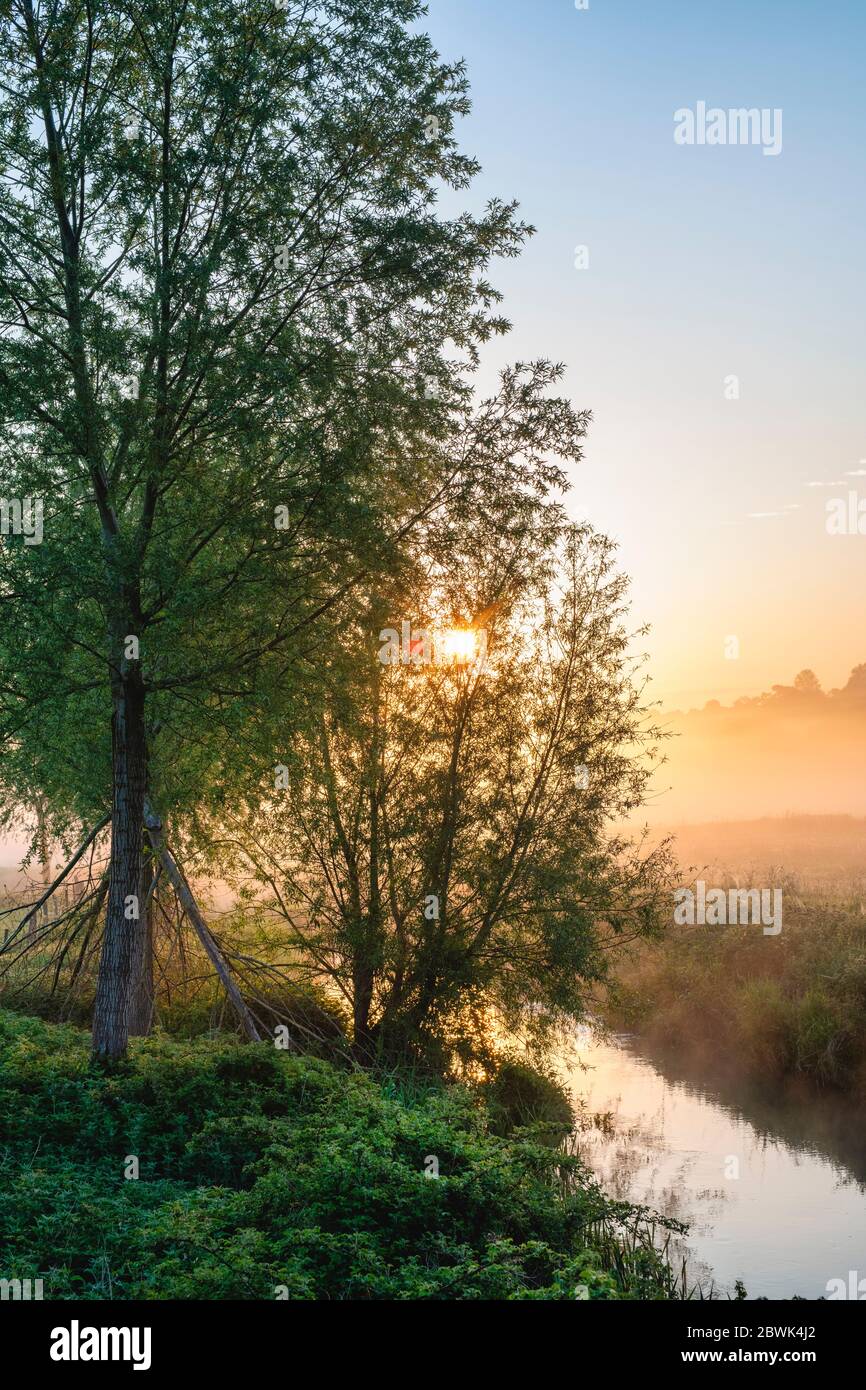 Misty sunrise along the river cherwell in spring. Somerton, Oxfordshire, England Stock Photo