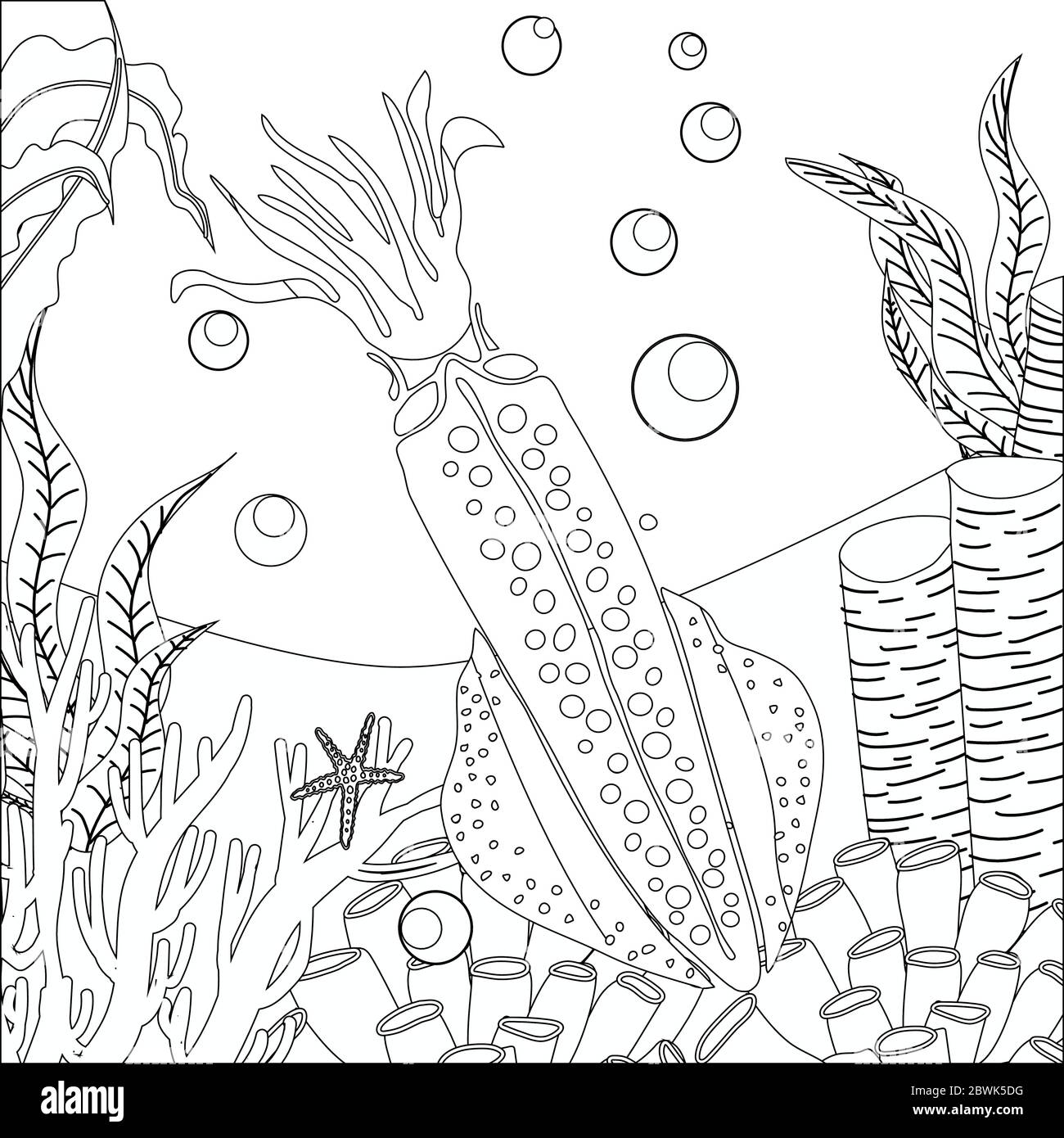 Download Squid Cuttlefish Octopus Coloring Page Antistress Coloring Book For Adults And Children Marine Life Ocean Animals Stock Vector Image Art Alamy
