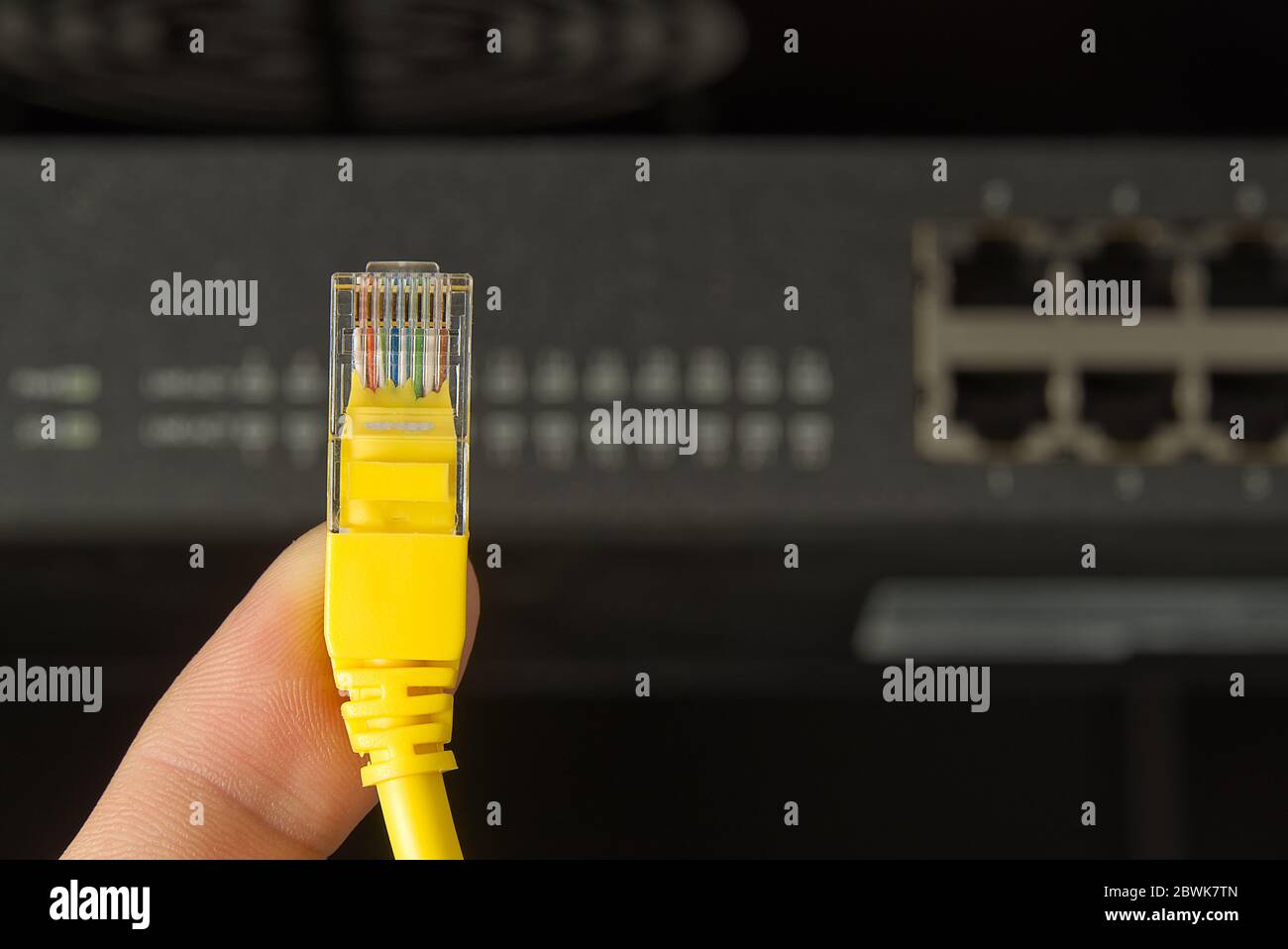 Network switch and cable in rack Network connection