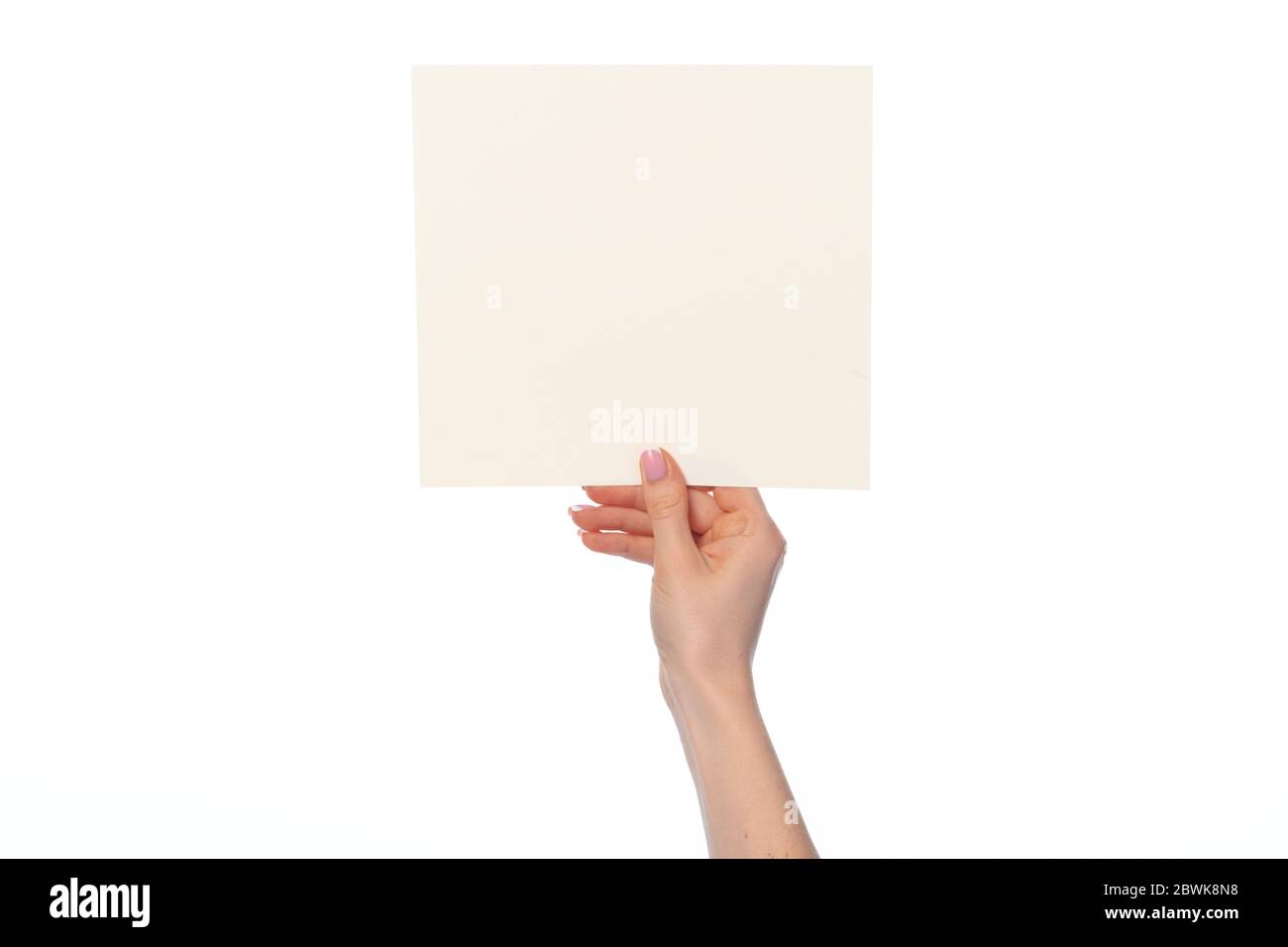 Female Hand Holding Blank White Sheet Of Paper Isolated On White Stock Female hand holding blank white sheet of paper isolated on white stock