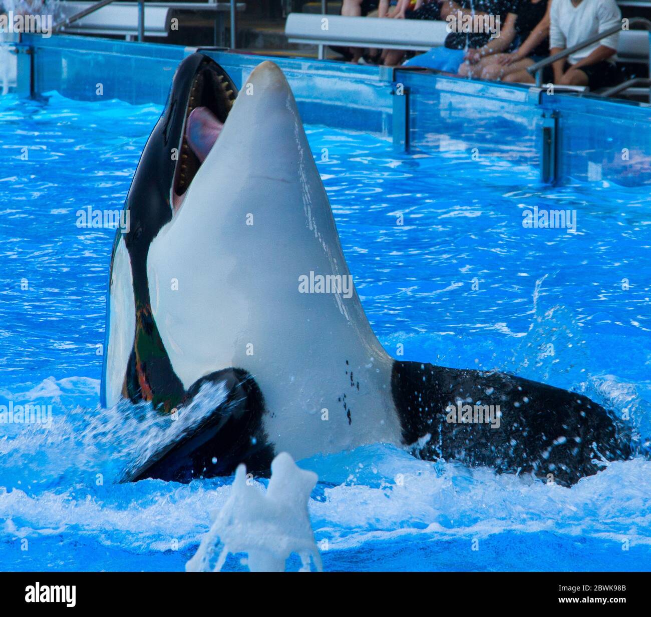 Performance orca hires stock photography and images Alamy