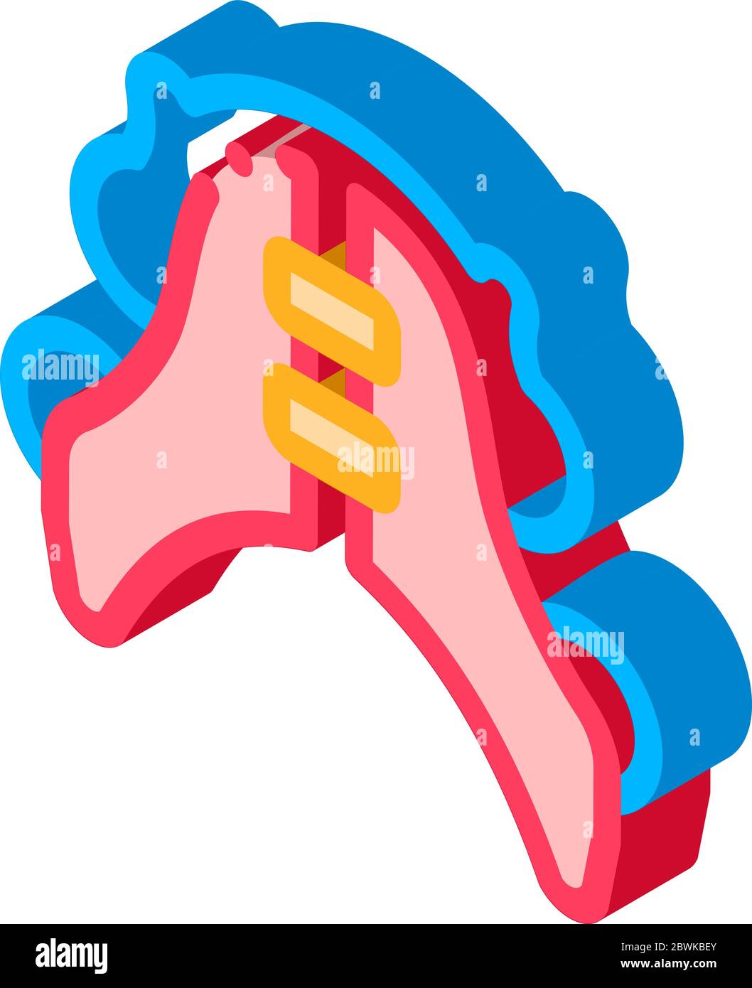 Dental Plate Stomatology isometric icon vector illustration Stock ...