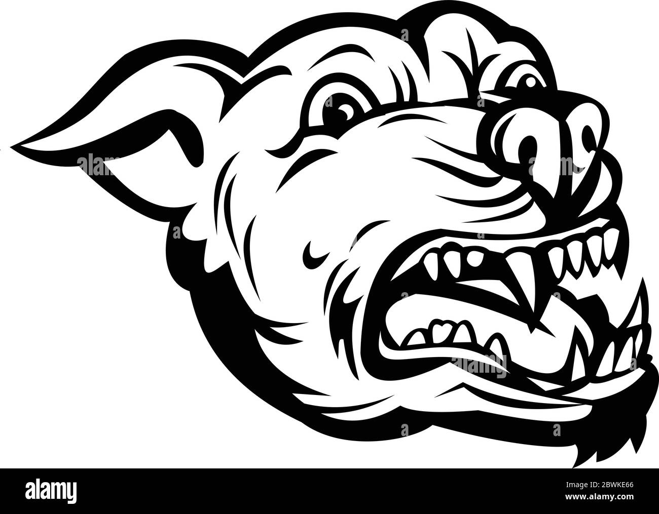 Pitbull angry Stock Vector Images - Alamy