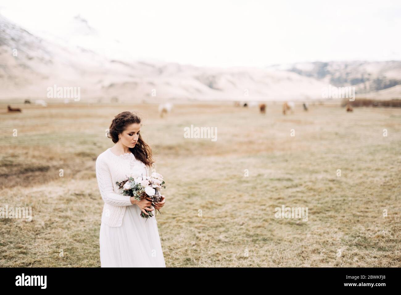 Portrait of a bride in a white wedding dress, with a bride's bouquet in her hands. In a field of dry yellow grass, amid a snowy mountain and grazing Stock Photo
