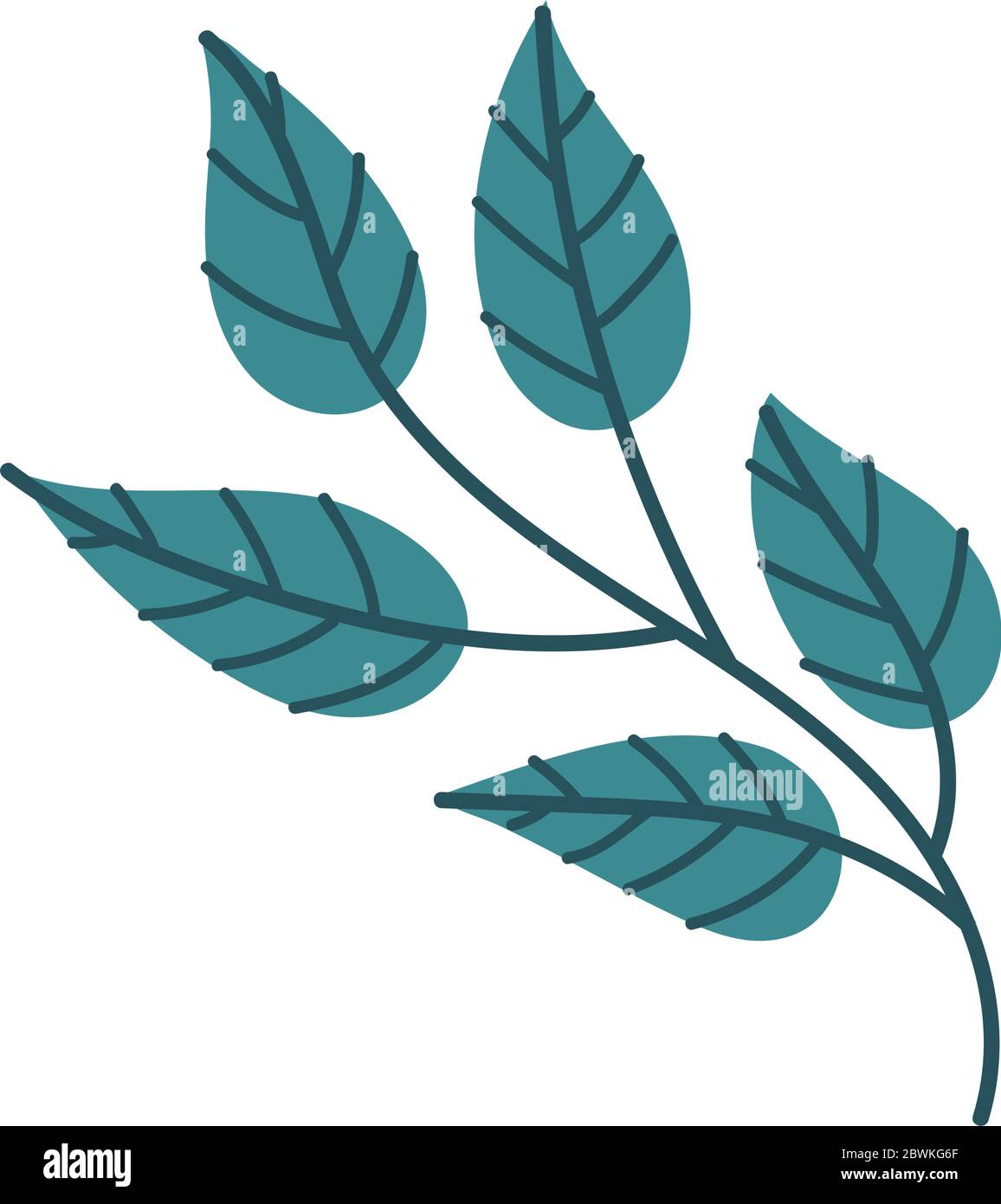 leaf plant nature free form style icon Stock Vector Image & Art - Alamy