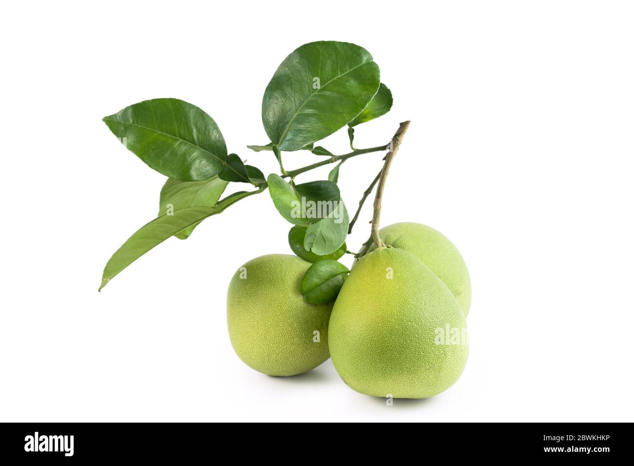Fresh pomelo, pummelo, grapefruit, shaddock isolated on white