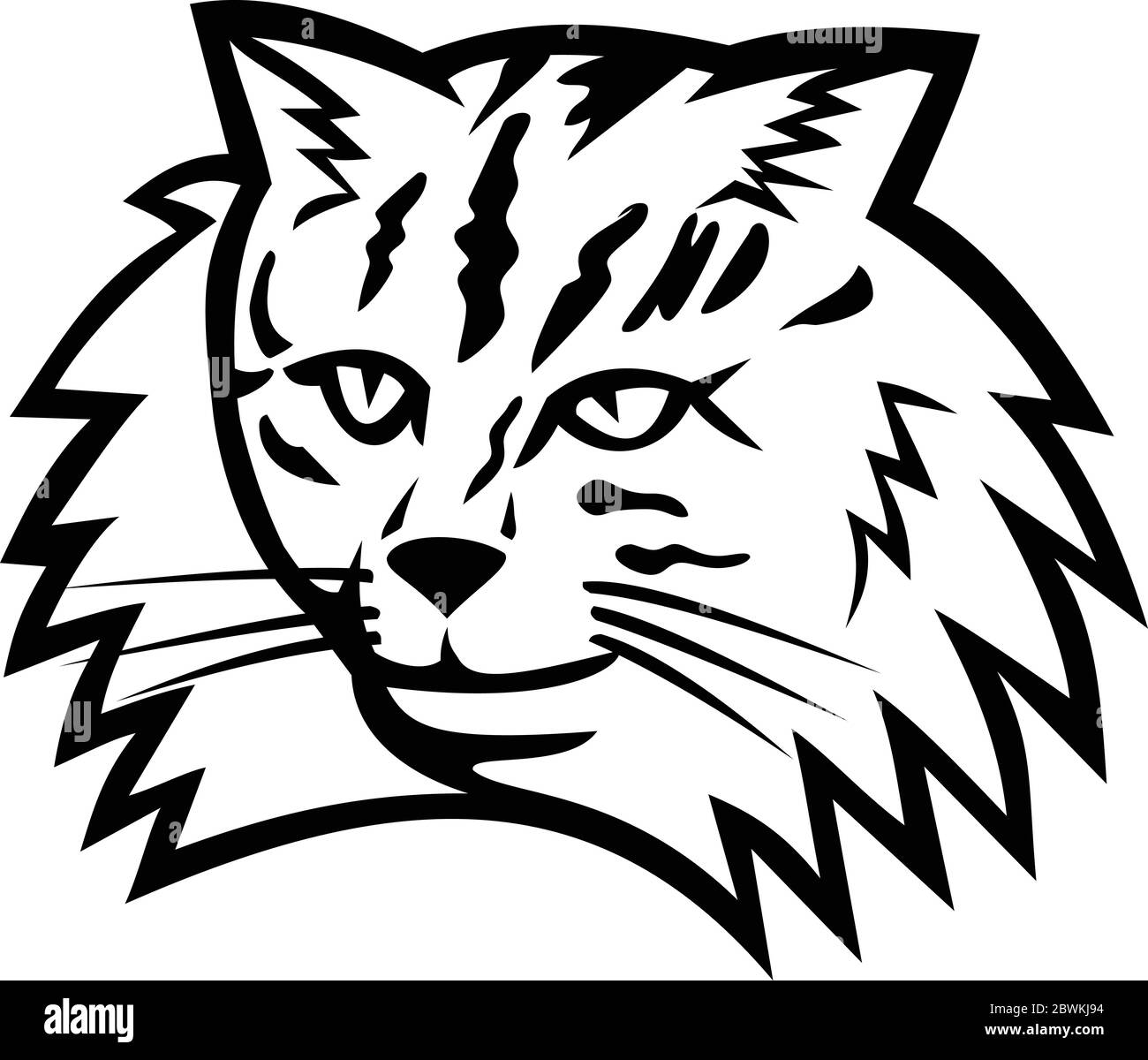 Black and White mascot illustration of head of a Norwegian Forest Cat, a breed of domestic cat originating in Northern Europe viewed from front on iso Stock Vector