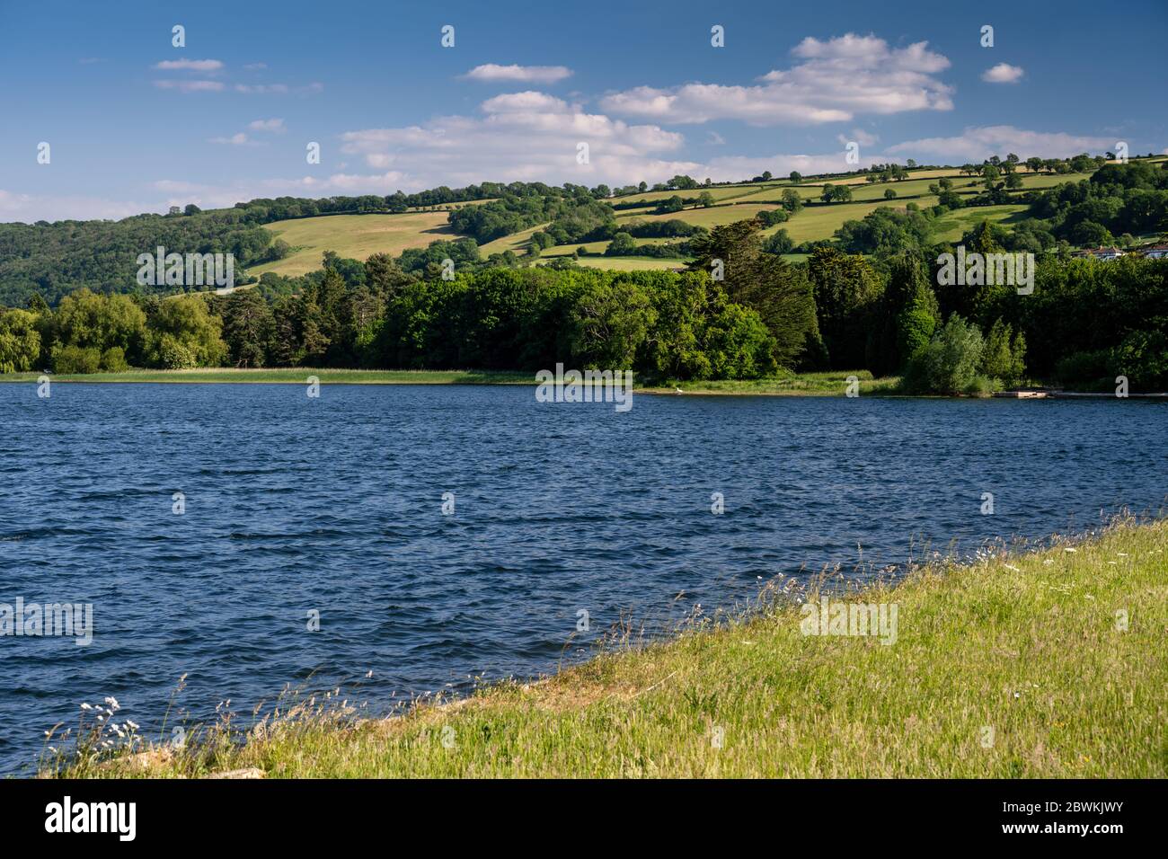 Pasture fields and woodland covers the hillsides of the Mendip Hills above Blagdon Lake in the pastoral landscape of North Somerset. Stock Photo