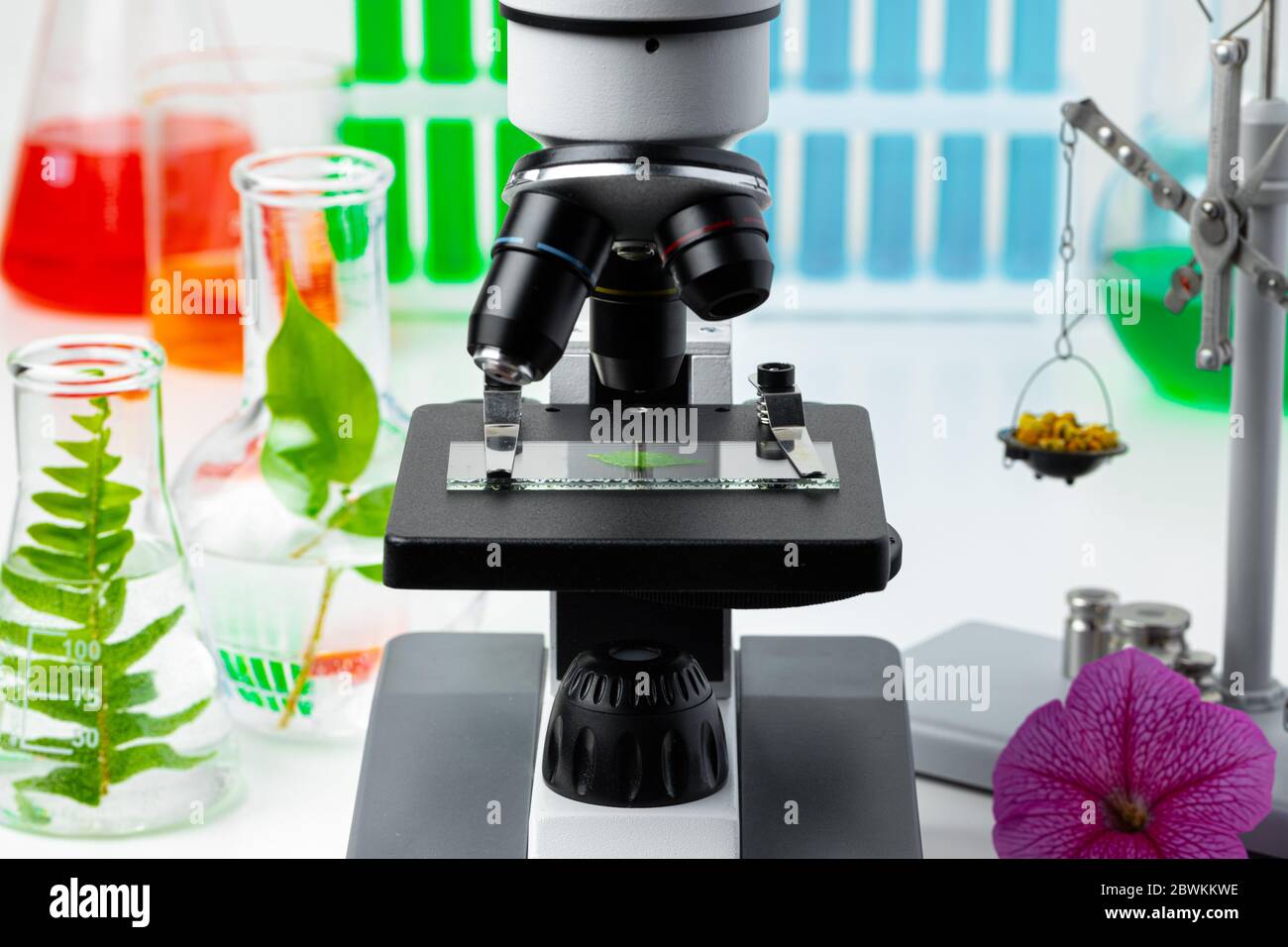 Medical laboratory. Scientific microscope with test tubes and plants ...