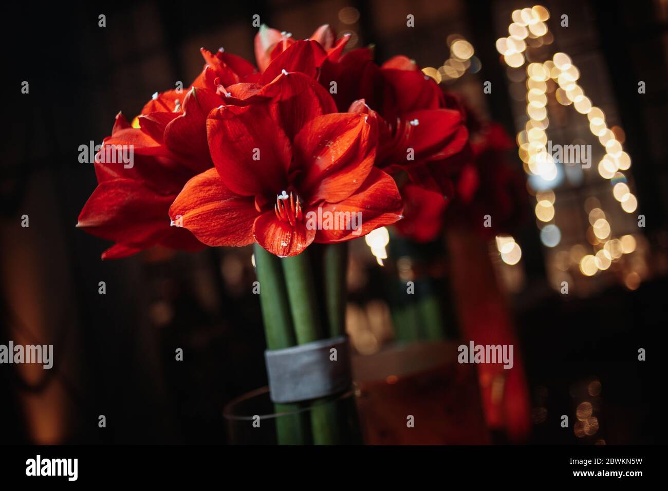 Hibiscus in a transparent vase Stock Photo