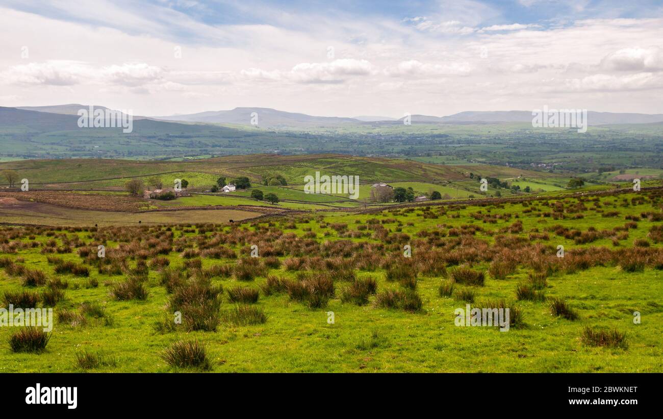 Scattered houses on the moorland pastures of the foothills of the North Pennines hills drop away to Cumbria's Eden Valley, with the Yorkshire Dales an Stock Photo