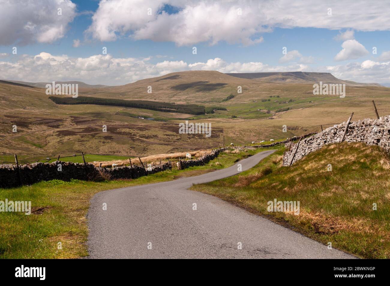 A country lane winds between drystone walls over the sheep pasture moorland hills at Garsdale in England's Yorkshire Dales. Stock Photo