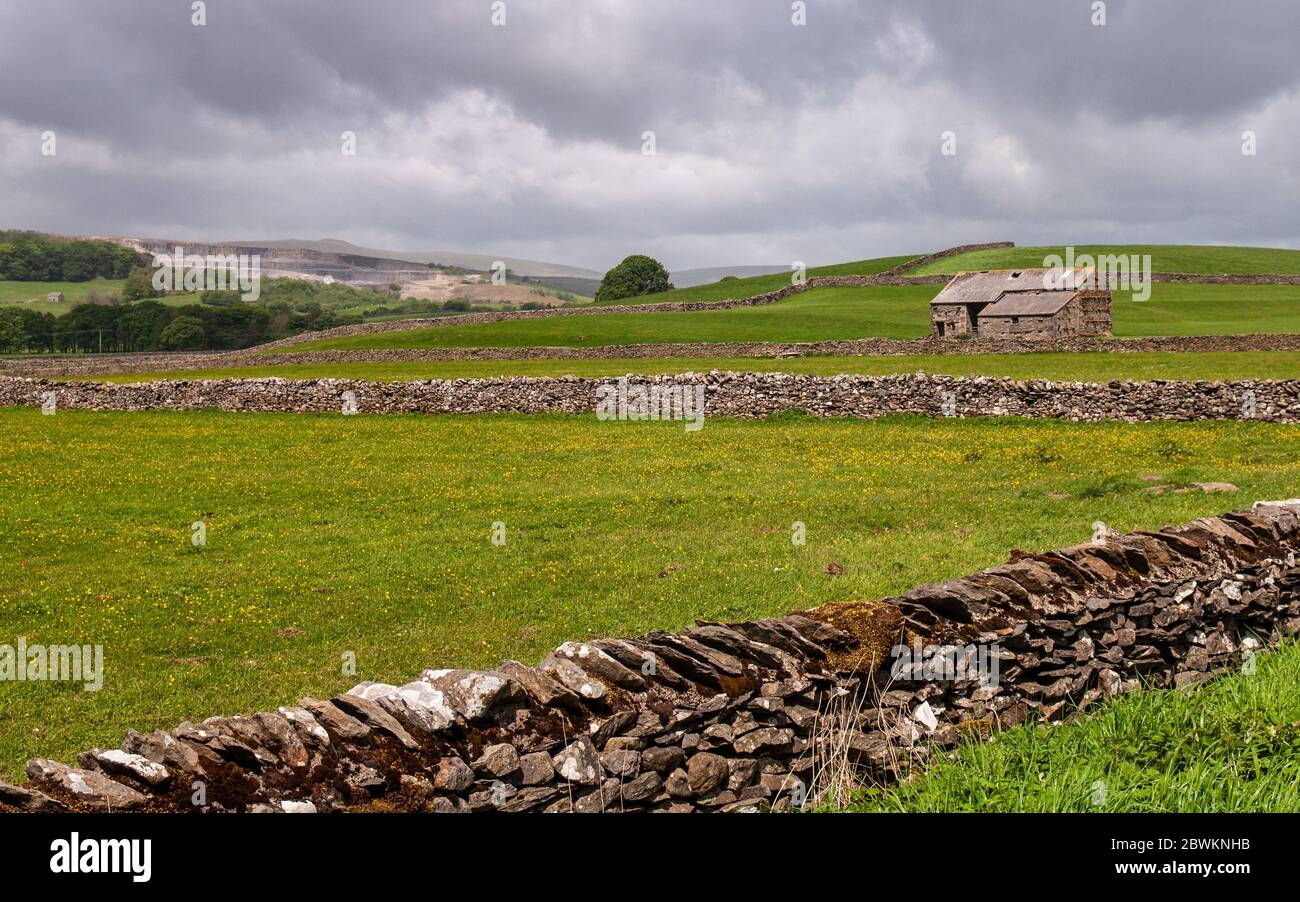 A traditional stone barn stands in pasture meadows at Horton in Ribblesdale under the hills of England's Yorkshire Dales. Stock Photo