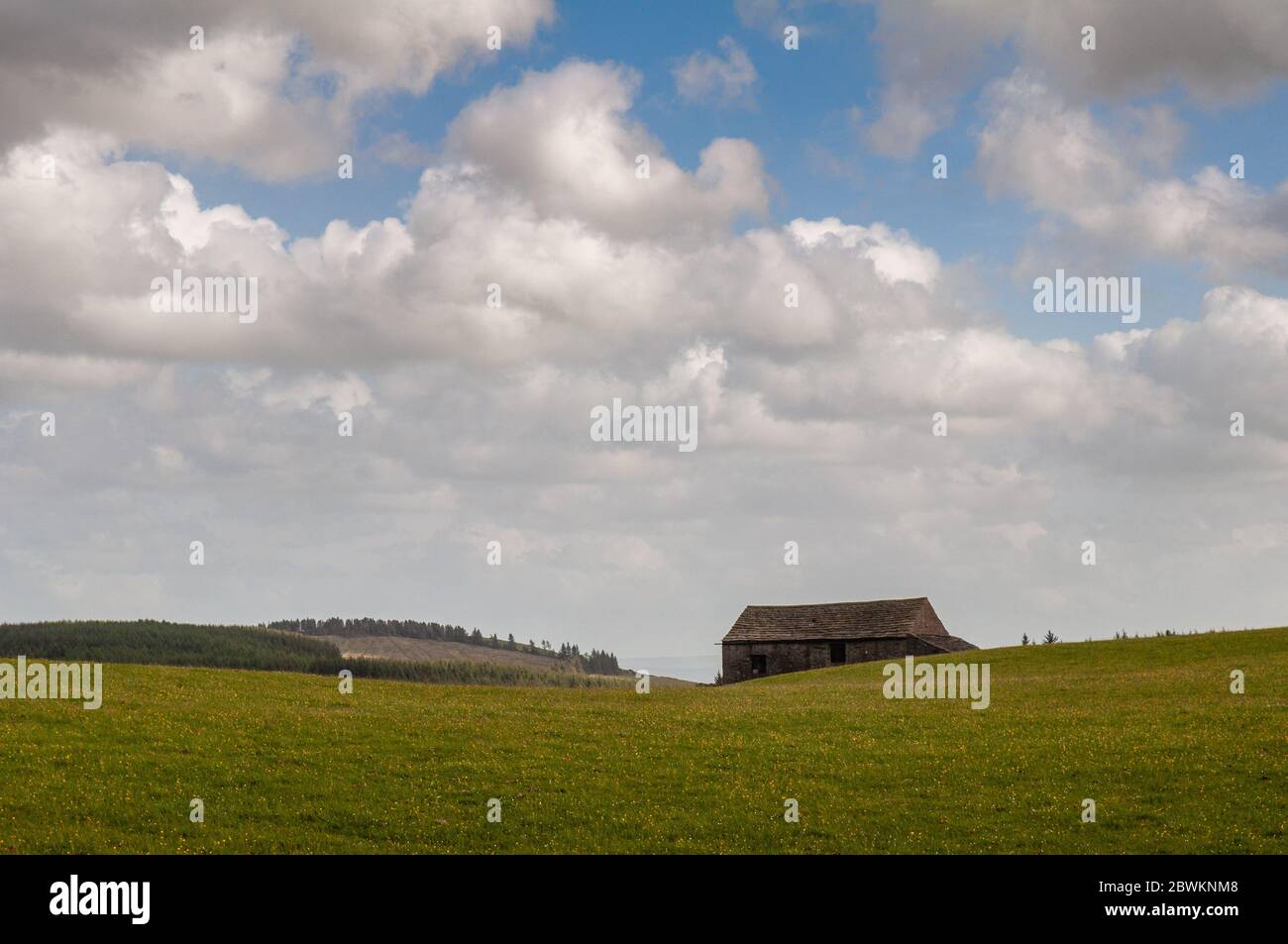 A traditional stone barn stands in pasture meadows in the hills of England's Yorkshire Dales. Stock Photo