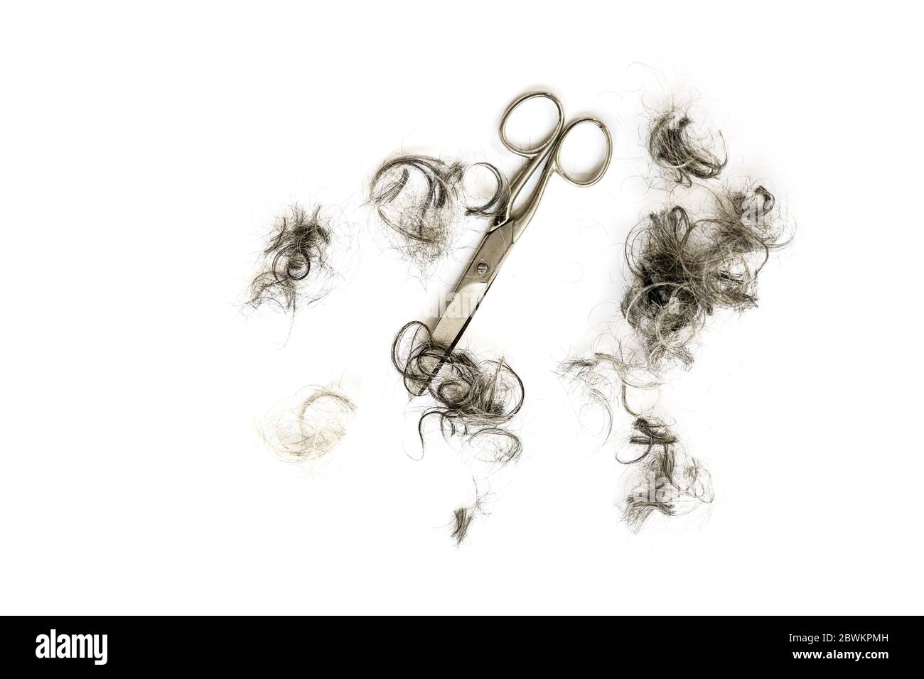 Page 2 - Hair Tuft High Resolution Stock Photography and Images - Alamy Page 2 - Hair Tuft High Resolution Stock Photography and Images - Alamy