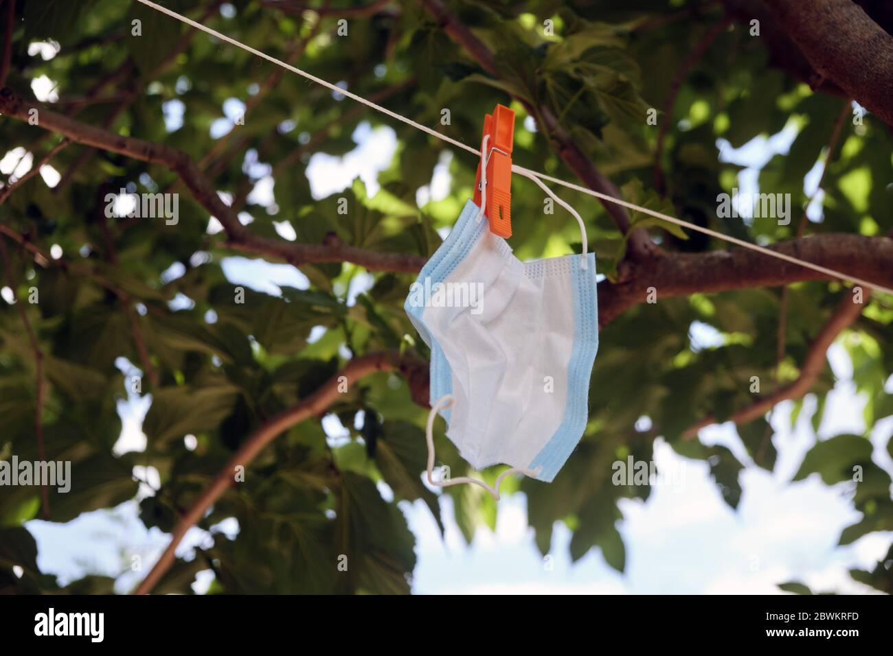 Disposable medical mask hanging on pegged clothesline for reused. tree in the background Stock Photo