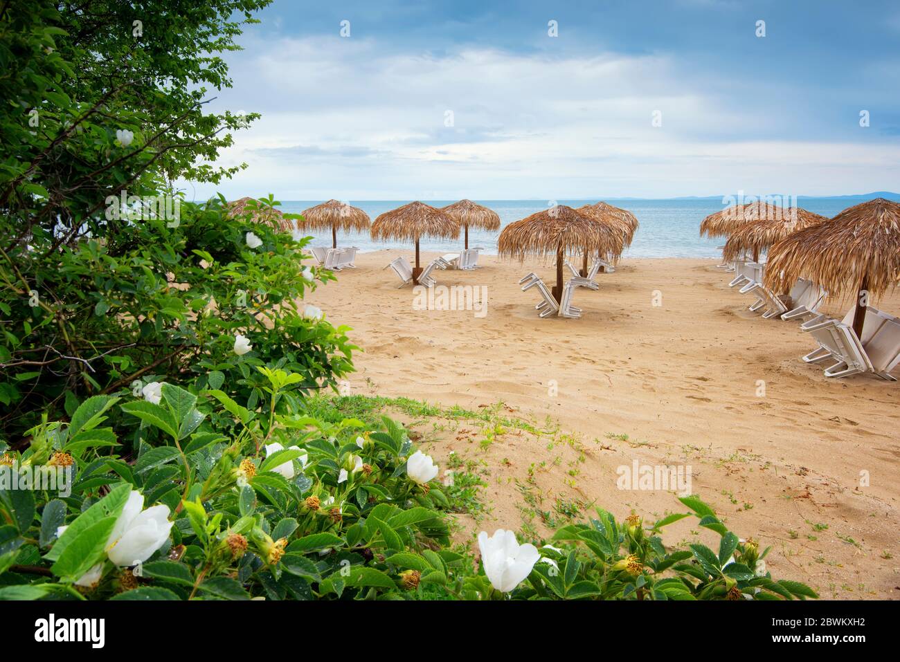 Summer vacation destination. Straw umbrellas and sunbeds on the empty pebble beach with sea in the background. Vacation And Tourism Concept. Sunbeds O Stock Photo