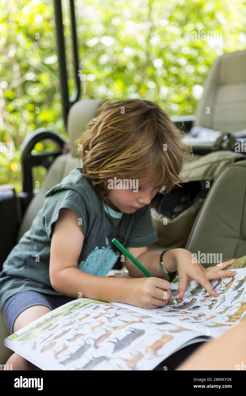 5 year old boy drawing, Moremi Reserve, Botswana Stock Photo