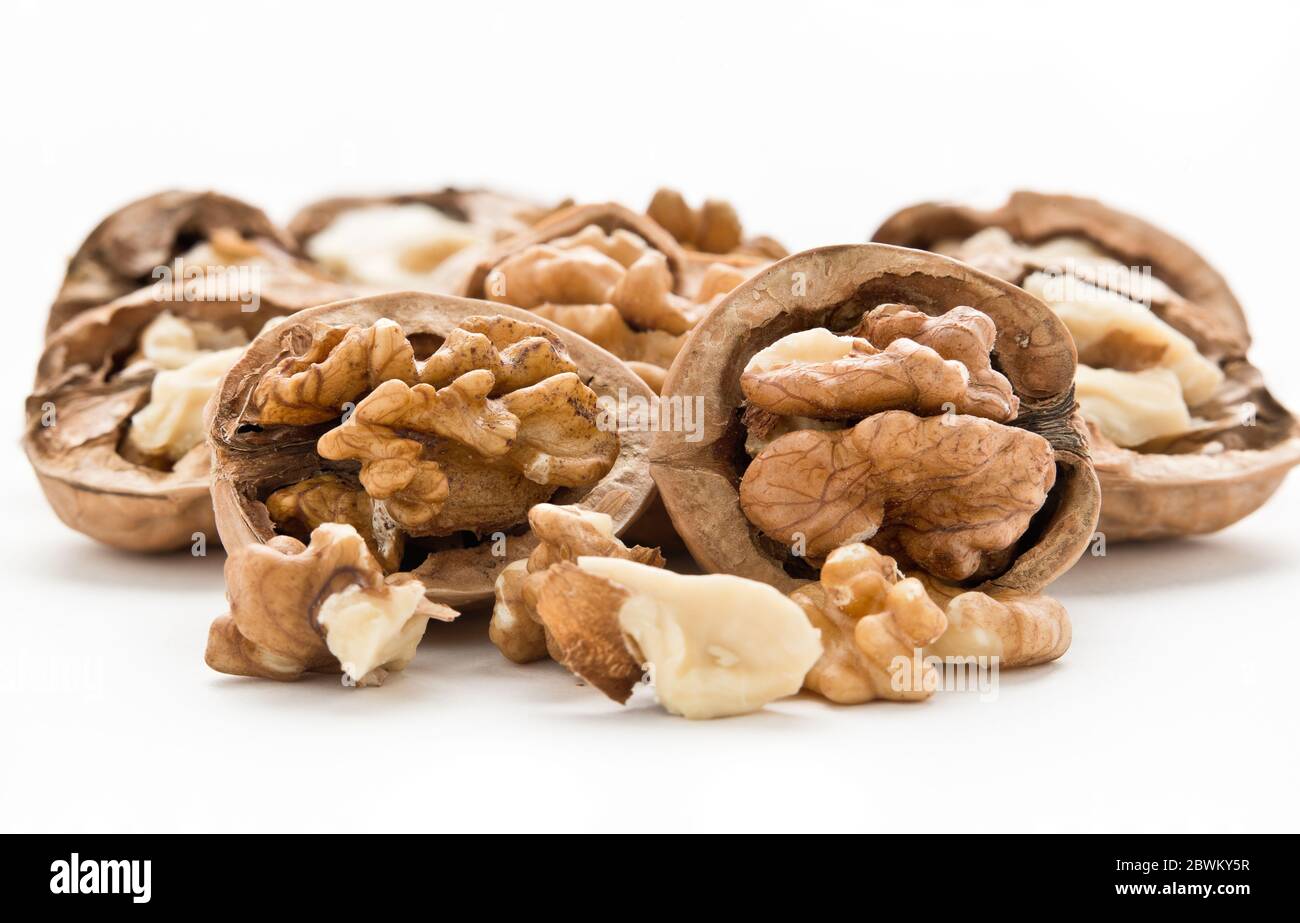 Walnut (fruit) In botany, the term walnut (or nut) is applied to an