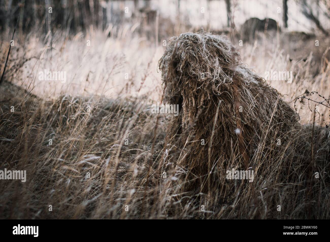 Special camouflage ghillie suit for military, snipers and intelligence agents. In field conditions. Stock Photo