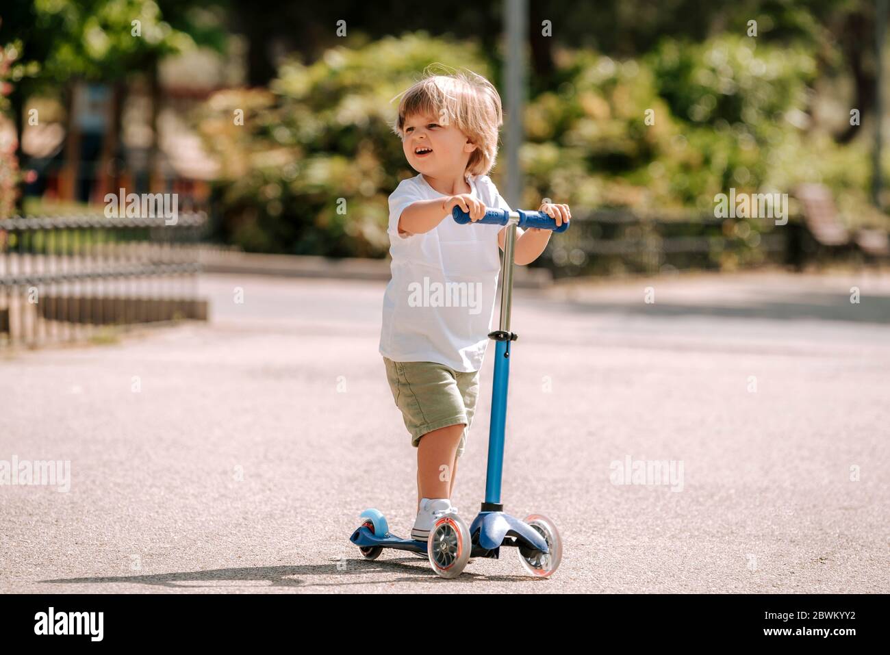 Boy learn to ride scooter in a park on sunny summer day. Preschooler boy riding a roller. Kids play outdoors with scooters. Active leisure and outdoor Stock Photo