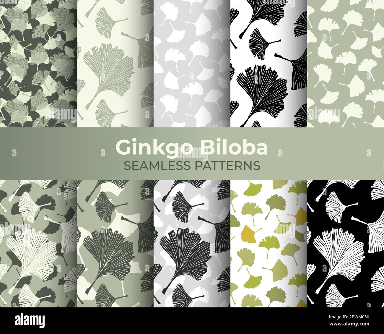 Ginkgo Biloba Seamless Pattern Collection. Vector Botanical Plant for Fabric Textile Design and Interior Wallpapers. Pale Sage on Ivory Background Stock Vector