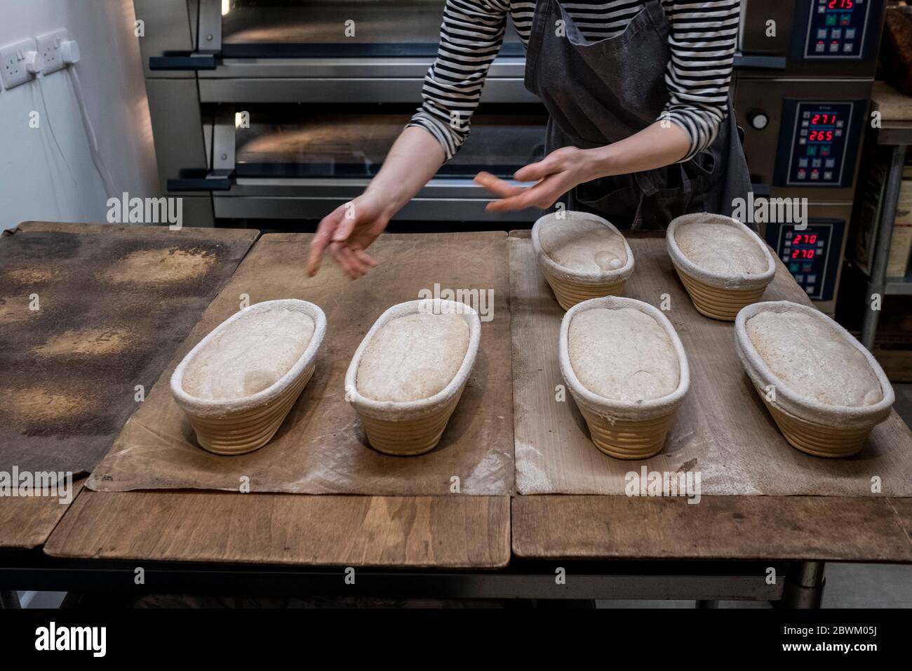 Artisan bakery making special sourdough bread, a rack of proving baskets full of rising dough. Stock Photo
