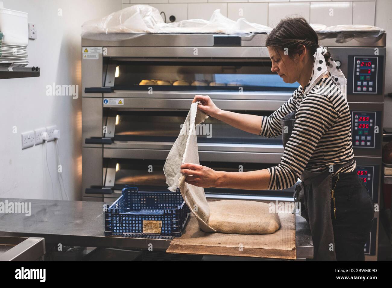 professional bread baker in bakery shop and posing with shelf with uncooked  raw bread knead on shovel. concept of traditional manual bread preparation  Stock Photo - Alamy