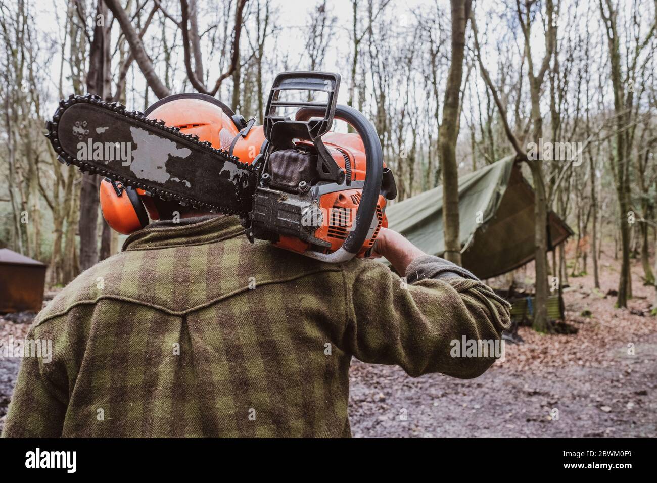 Logger carrying chainsaw hi-res stock photography and images - Alamy