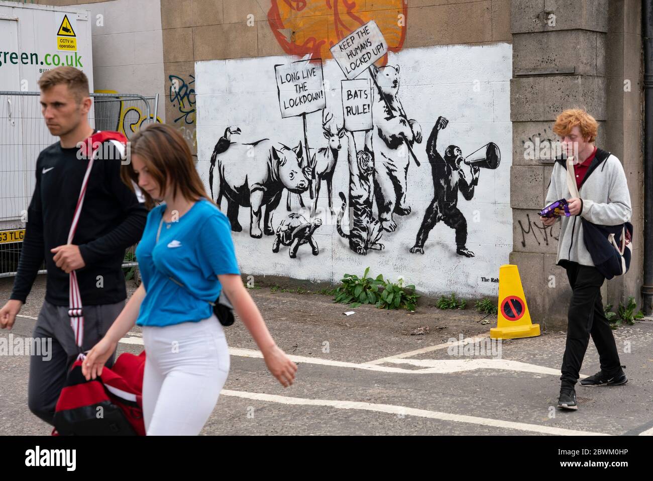 Edinburgh, Scotland, UK. 2 June 2020. New Covid-19 lockdown themed mural by The Rebel Bear artist appears on a wall in Edinburgh. Iain Masterton/Alamy Live News Stock Photo