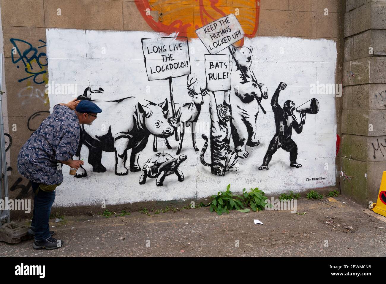 Edinburgh, Scotland, UK. 2 June 2020. New Covid-19 lockdown themed mural by The Rebel Bear artist appears on a wall in Edinburgh. Iain Masterton/Alamy Live News Stock Photo