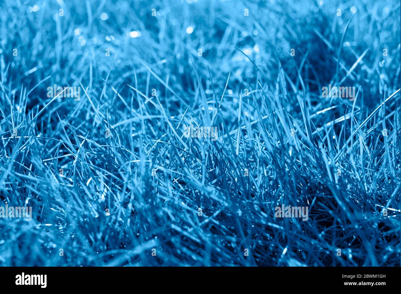 Color Field Blue
