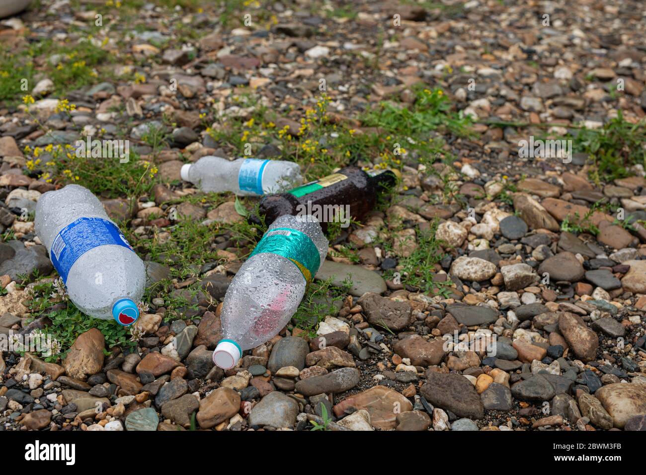 plastic bottles, trash thrown on grass. Garbage dump in forest. Plastic and food waste concept. Stock Photo