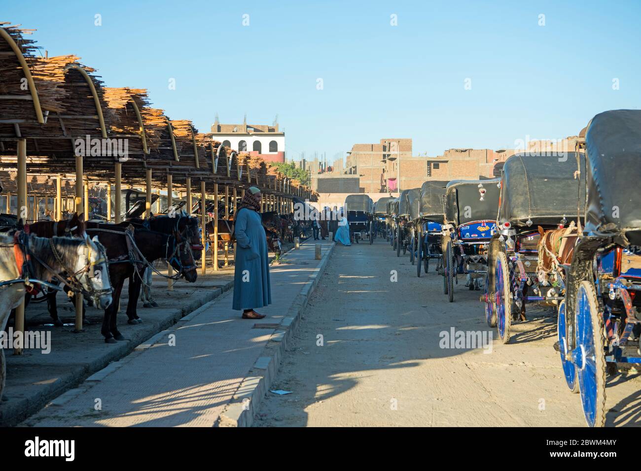 Ägypten, Edfu (Idfu), Kutschen warten auf Touristen Stock Photo