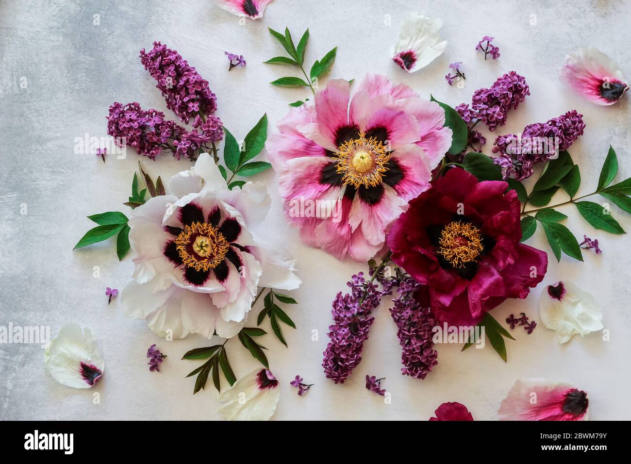 Floral arrangement with peonies and lilacs on a bright background Stock ...