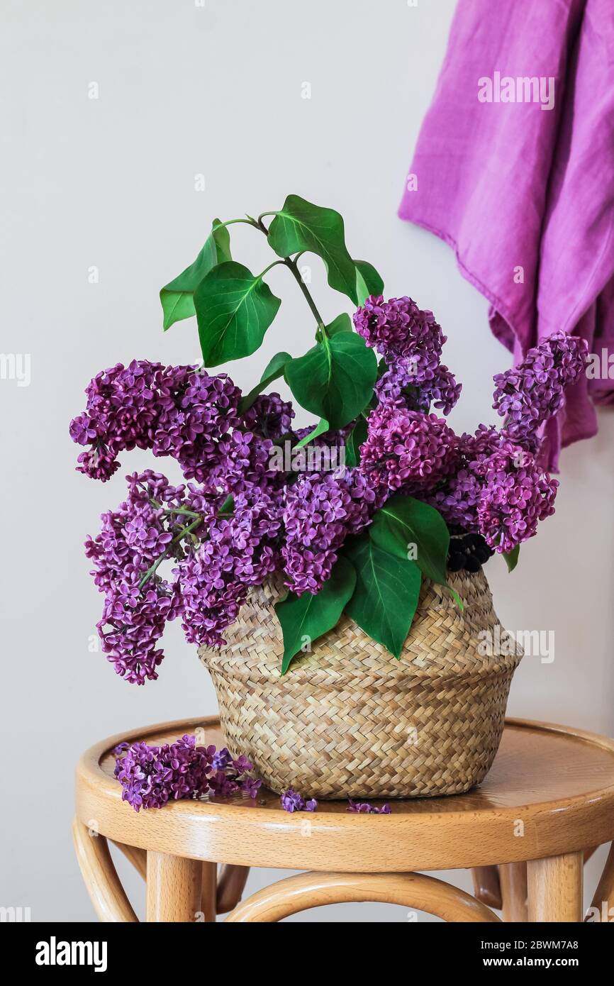 Purple hanging basket hi-res stock photography and images - Alamy