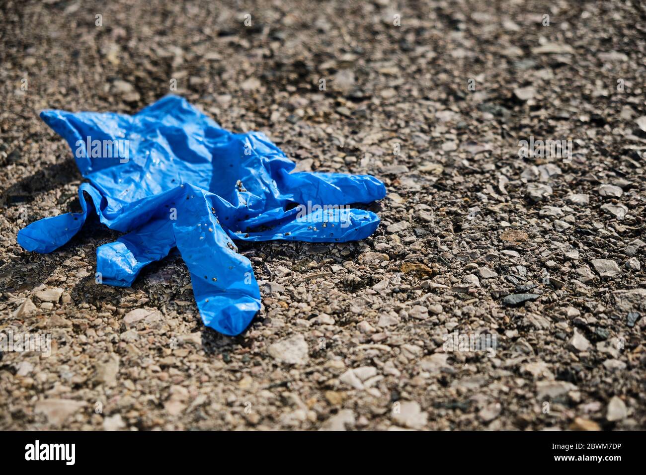 closeup of a blue used latex glove thrown on the asphalt of a road, a parking lot or a street Stock Photo