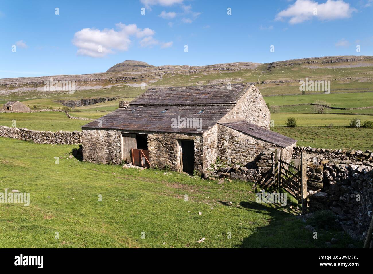 A view of Ingleborough (horizon) from the north. A tradition Dales barn or cow house in the foreground. Ingleton, Yorkshire Dales National Park, UK Stock Photo
