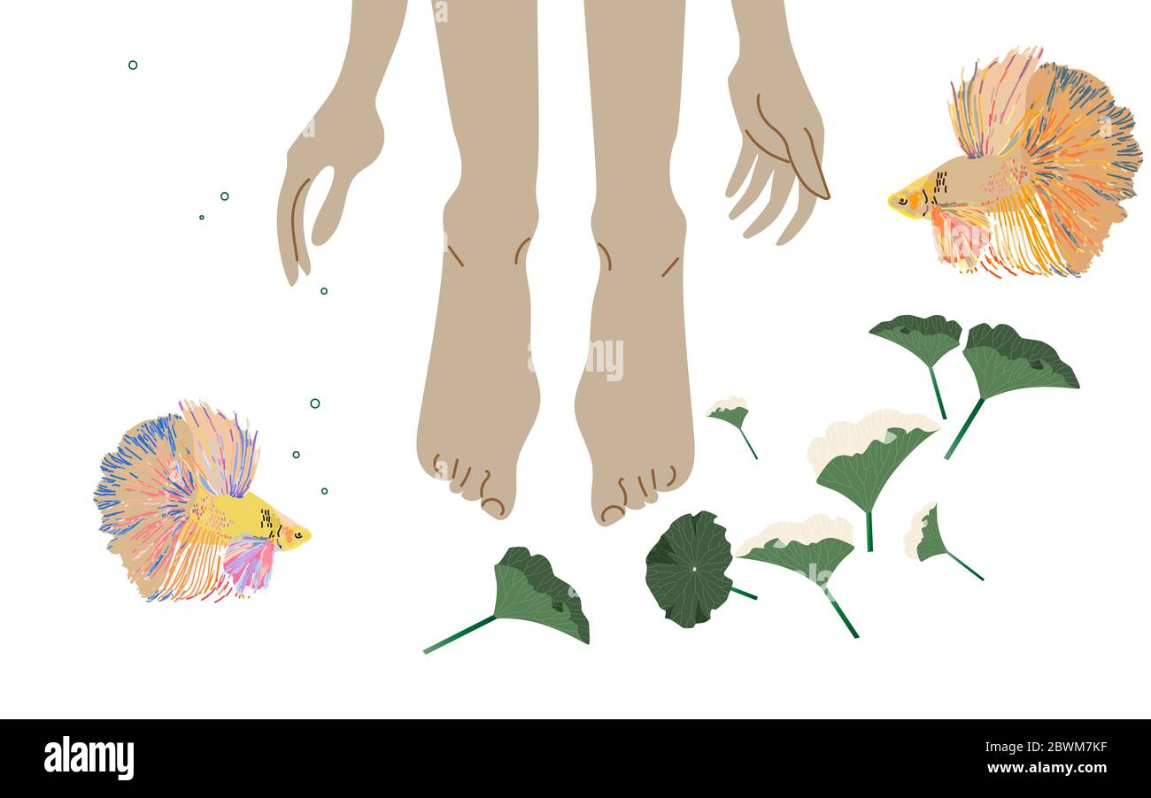 Legs and hands in water, around fish and seaweed. Pedicure and manicure, water procedures for the feet - peeling, baths. Vector illustration. EPS10 Stock Photo