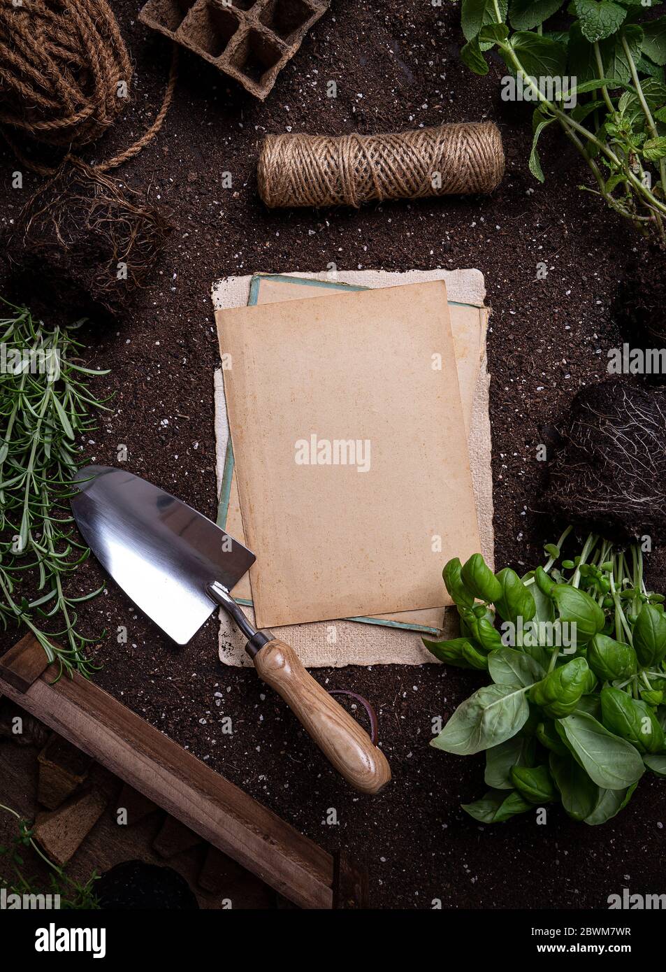 Herbs and gardening tools Stock Photo Alamy