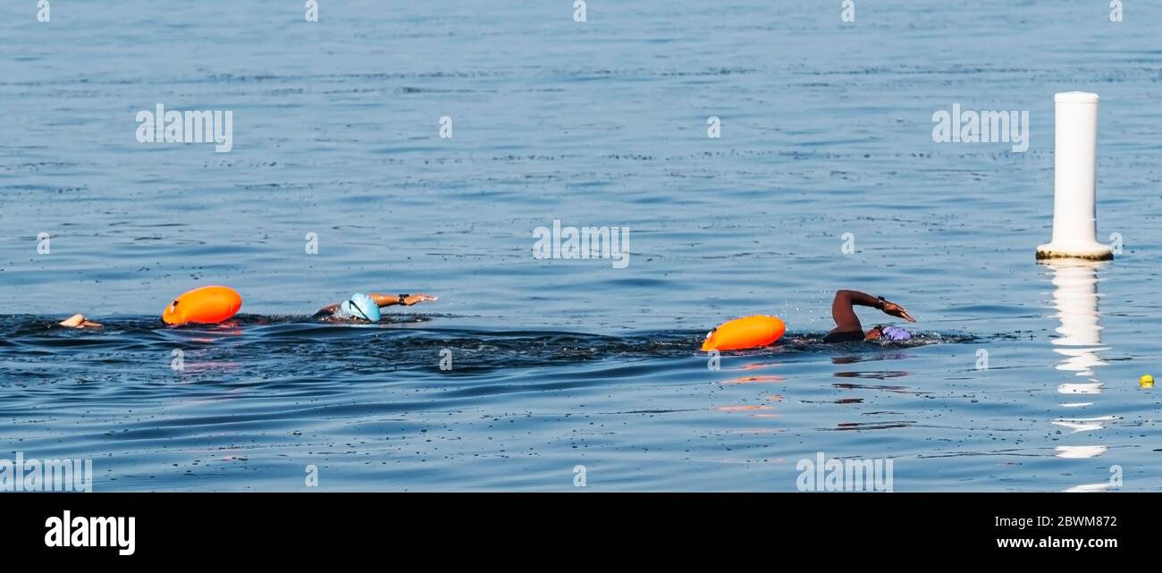 Two black female triathlon swimmers with orange flotation devices for safety are about to pass a buoy while training in the sea. Stock Photo