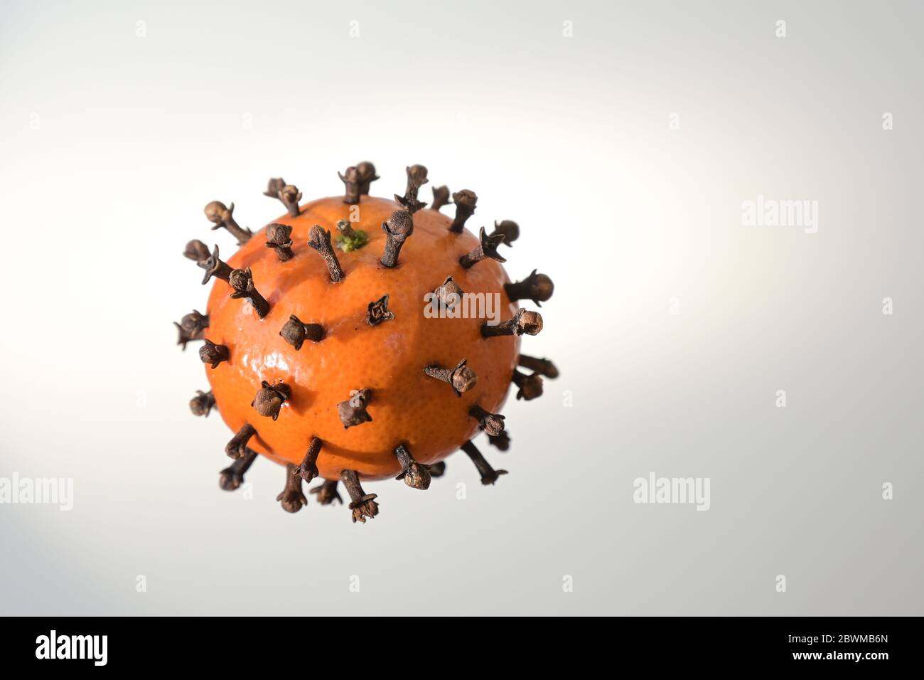 Tangerine with cloves looking like a coronavirus, but vitamins strengthen the immune system and cloves have a disinfectant effect, creative health con Stock Photo