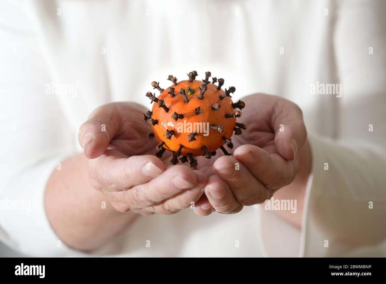 Hands are holding a tangerine with cloves, which looks like a coronavirus, but vitamins strengthen the immune system and cloves have a disinfectant ef Stock Photo